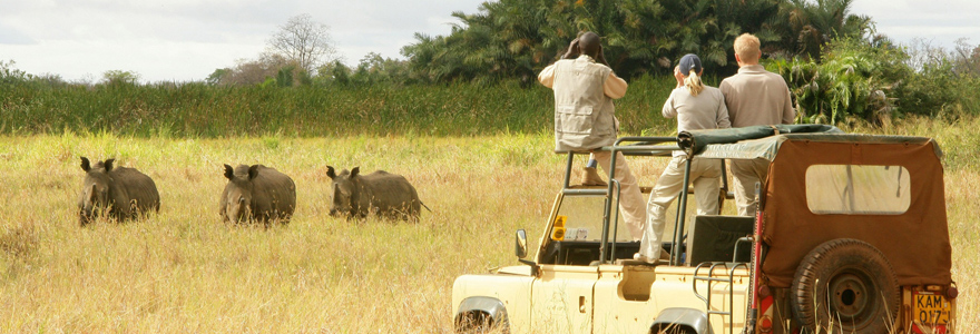 une expérience safari